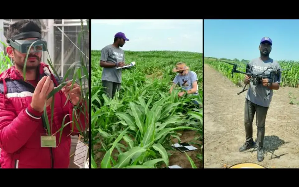 Indian Council of Agricultural Research
